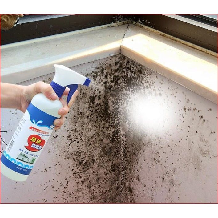 Sprej za uklanjanje i čišćenje buđi - 1+1 gratis